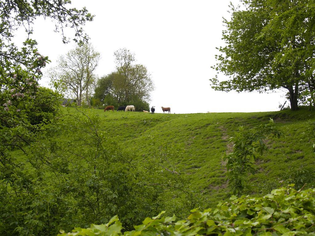 Juhl's Kolding